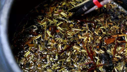 无码破解
:坚守医者初心,弘扬中医国粹