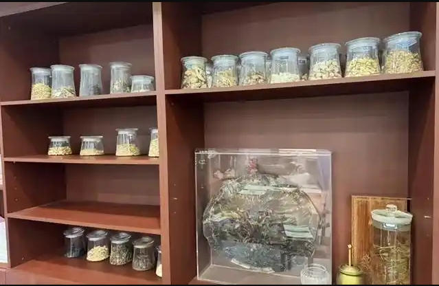 公立医院改革与高质量发展